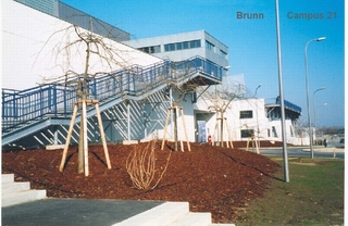 Brunn Campus 21 Geländer 1