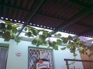 Aluminium-Vordach und farbe