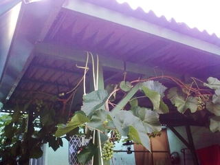 Aluminium-Vordach und farbe