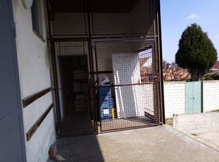 Ziel, Füllnetz, Farbe